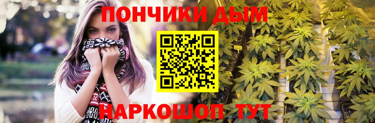 Бошки марихуана ГИДРОПОН  Шишки марихуана индика  Заводоуковск  Вход с VPN  Марихуана Ganja  Бошки марихуана семена 